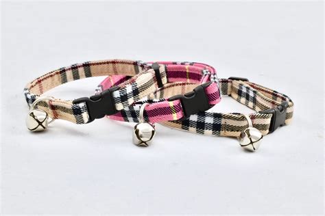 burberry cat collar.